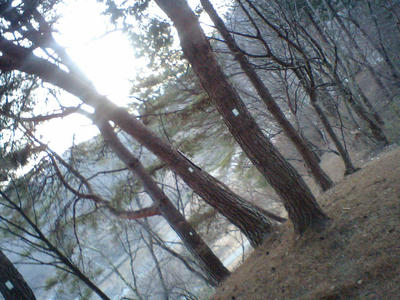 CA380054.jpg