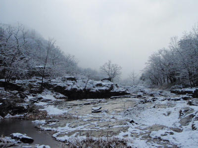 P1010580.JPG