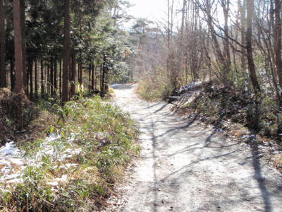 P2040594.JPG