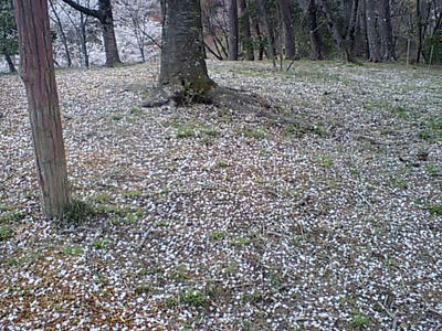 CA380064.jpg