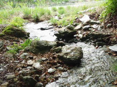 P5086868.JPG