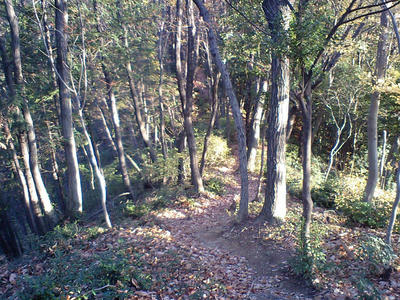 CA380076.jpg