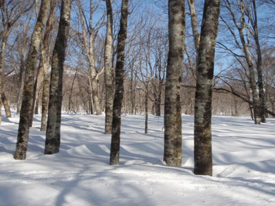 P2260764.JPG