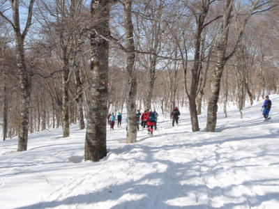 P2260763.JPG