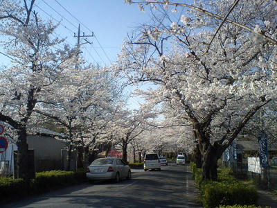 CA38008.jpg