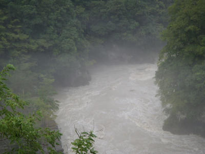 P9032943.JPG
