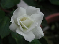 P7050014.JPG