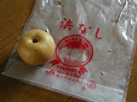 P8170001.JPG