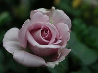P9110005.JPG