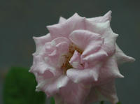 P9250007.JPG