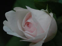 P9250011.JPG