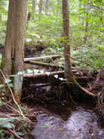 PA080091.JPG