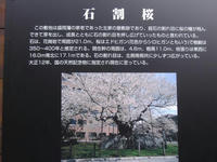PA080162.JPG