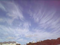 DVC00026_M.jpg