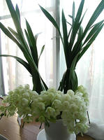 PB120004.JPG
