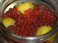 PB200004.JPG