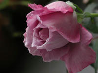 PB020009.JPG