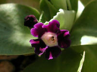 PC140004.JPG