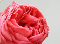 P1010001.JPG