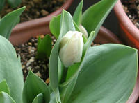 P1010007.JPG