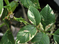 P10100010000.JPG