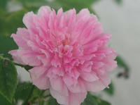 P8020133.JPG