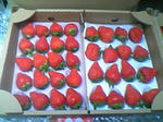 20080720.jpg
