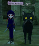 mabinogi_2008_08_13_018.jpg