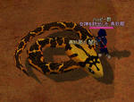 mabinogi_2008_08_13_010.jpg
