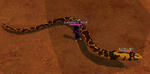 mabinogi_2008_08_13_011.jpg