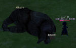 mabinogi_2008_08_13_005.jpg