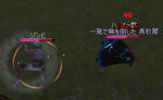 mabinogi_2008_08_16_004.jpg