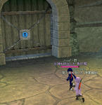 mabinogi_2008_08_23_009.jpg