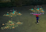 mabinogi_2008_08_26_011.jpg