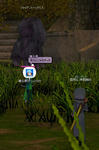 mabinogi_2009_10_15_008.jpg