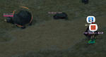 mabinogi_2009_10_16_004.jpg