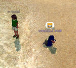mabinogi_2009_10_21_004.jpg