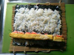 20100203-2.jpg