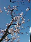 20100326-2.jpg