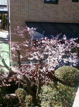 20100326-3.jpg