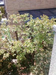 20100421.jpg