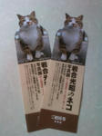 20100504.jpg