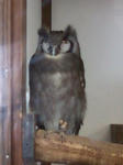 20100504-1.jpg
