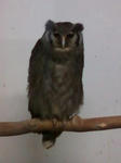 20100504-2.jpg