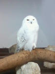 20100504-4.jpg