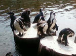 20100504-5.jpg