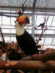 20100504-8.jpg