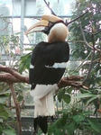 20100504-9.jpg