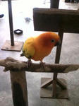 20100504-11.jpg