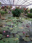 20100504-12.jpg